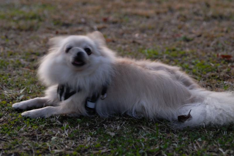 DSC_9124.jpg