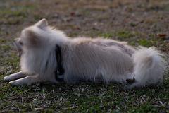 DSC_9121