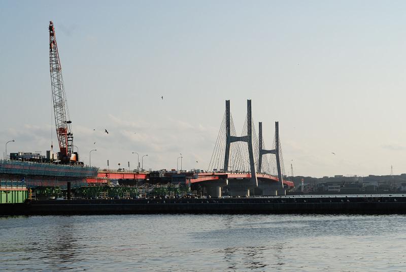DSC_9146.jpg