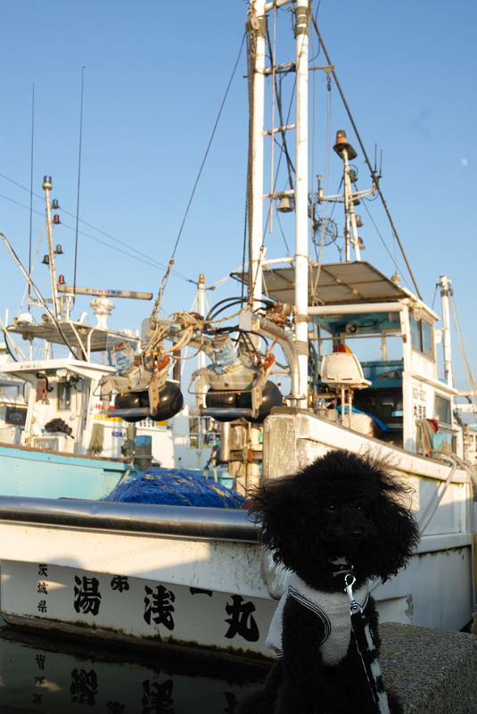 DSC_9177.jpg
