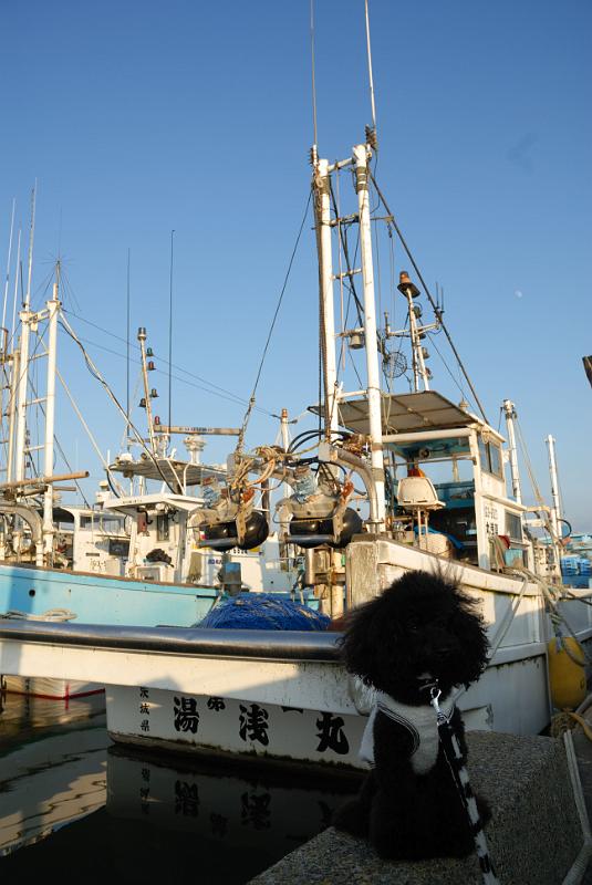 DSC_9178.jpg