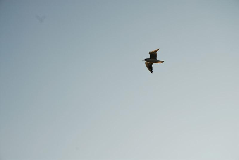 DSC_9180.jpg