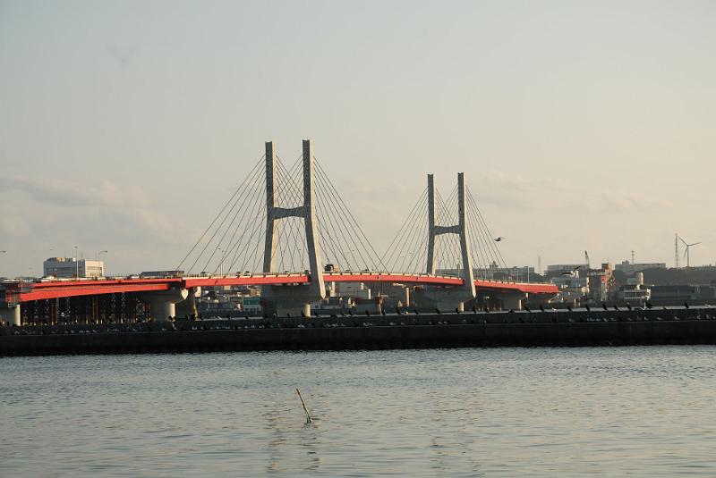 DSC_9183.jpg