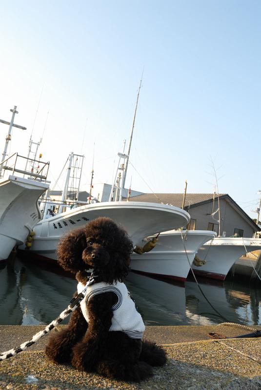DSC_9190.jpg