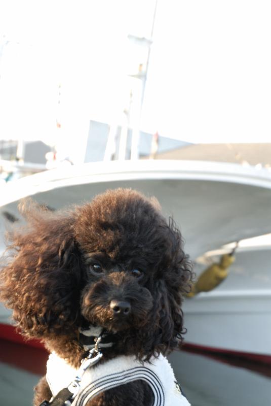 DSC_9192.jpg