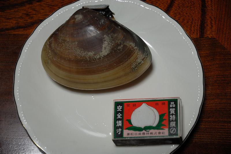DSC_9222.jpg