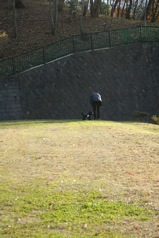 DSC_9576.jpg
