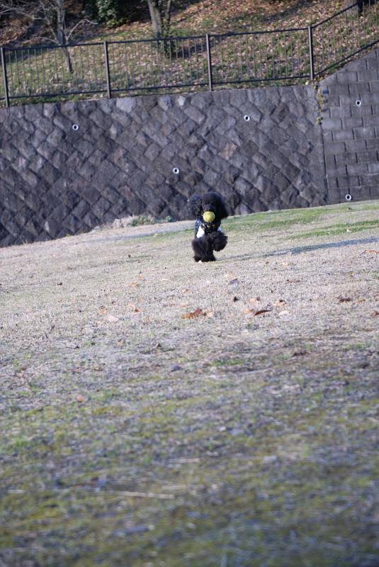 DSC_9653.jpg