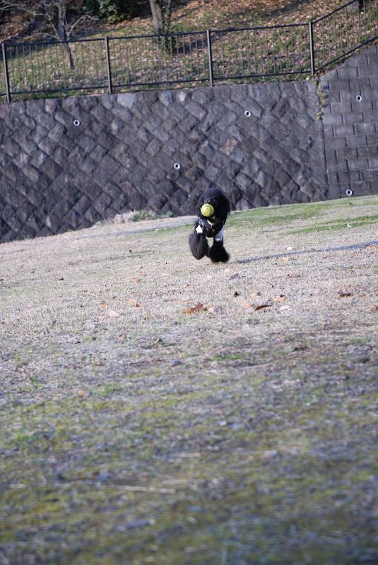 DSC_9654.jpg