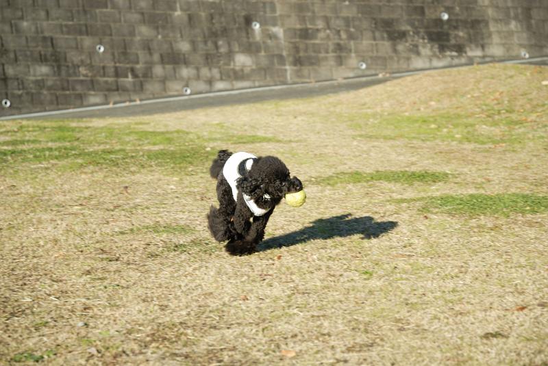 DSC_9672.jpg