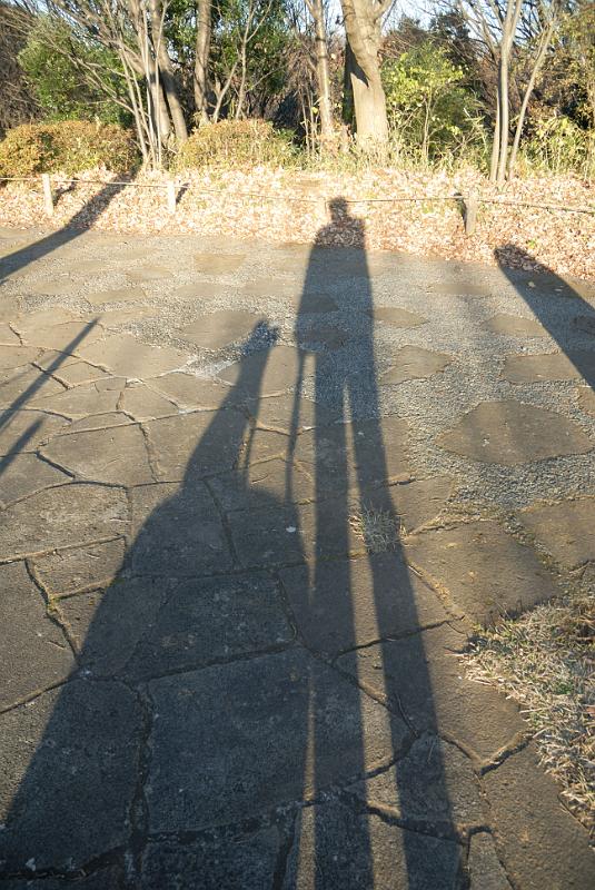 DSC_9729.jpg