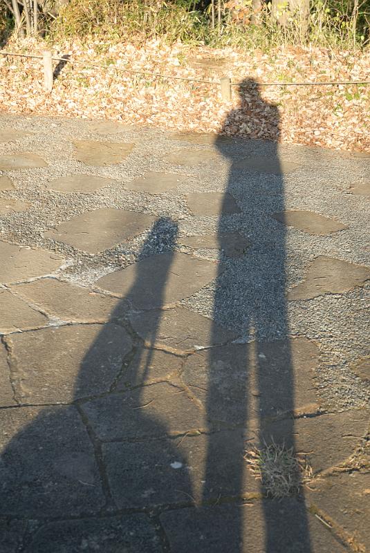 DSC_9730.jpg