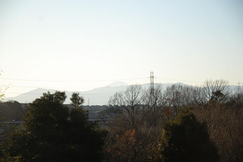 DSC_9735.jpg