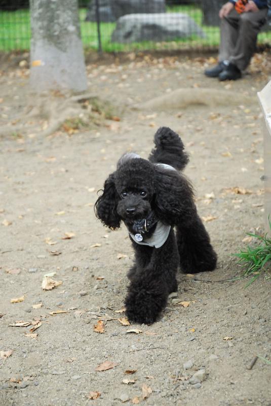 DSC_8238.jpg