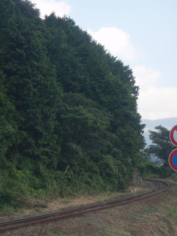 PA181029.JPG