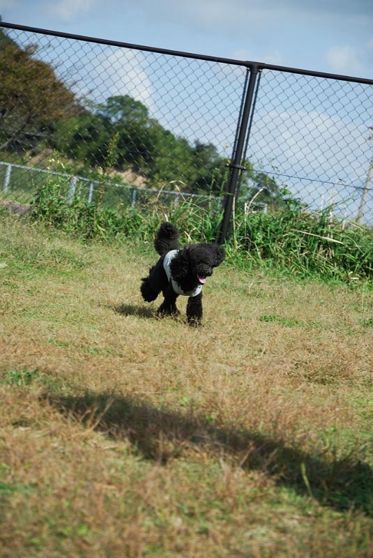 DSC_8258.jpg
