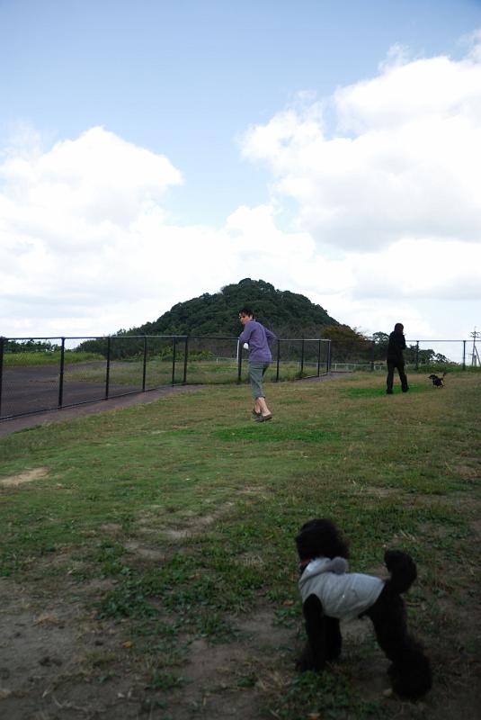 DSC_8263.jpg