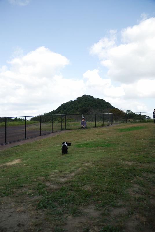 DSC_8267.jpg