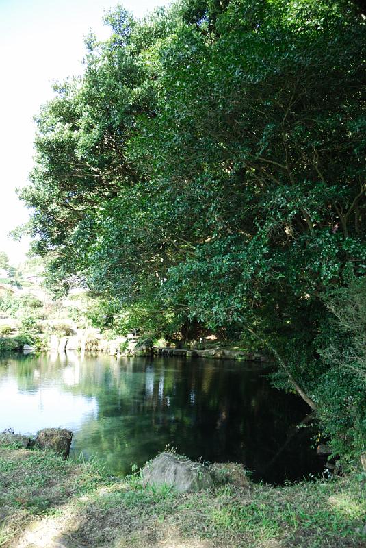 DSC_8298.jpg