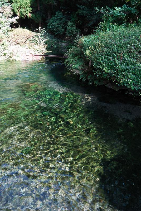 DSC_8299.jpg