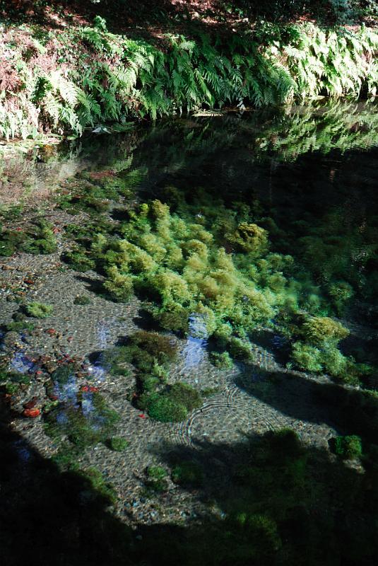 DSC_8300.jpg