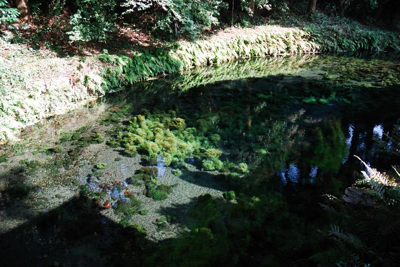 DSC_8301.jpg