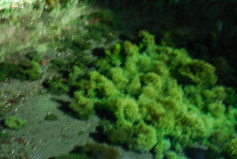 DSC_8305.jpg