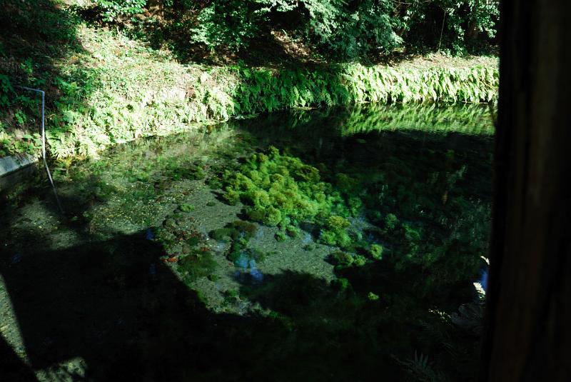 DSC_8306.jpg