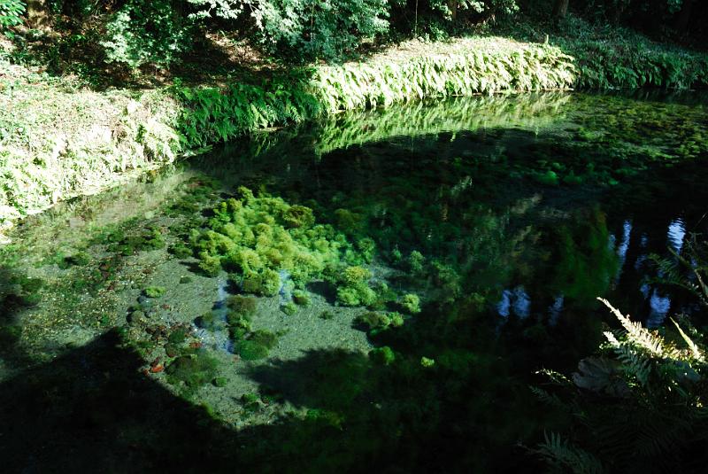 DSC_8307.jpg