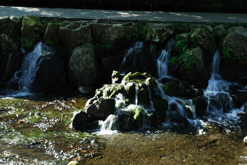 DSC_8311.jpg
