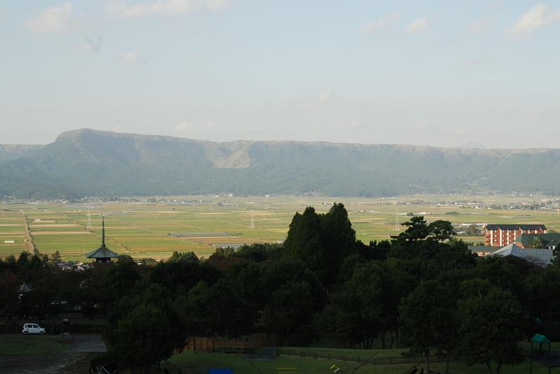 DSC_8312.jpg