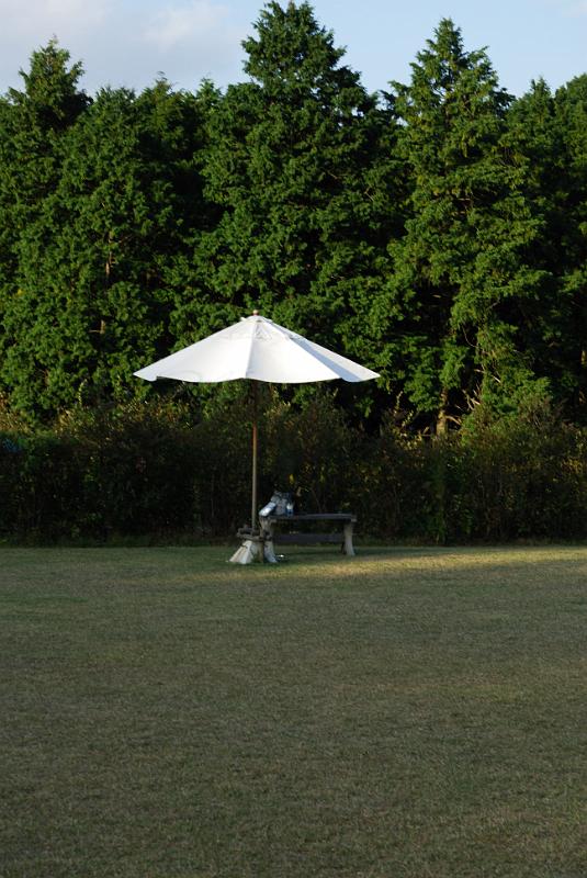 DSC_8319.jpg