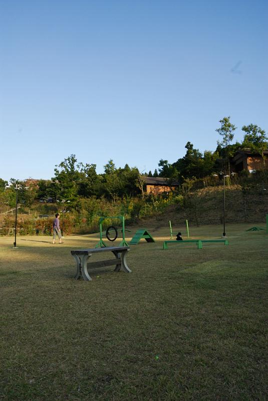 DSC_8322.jpg