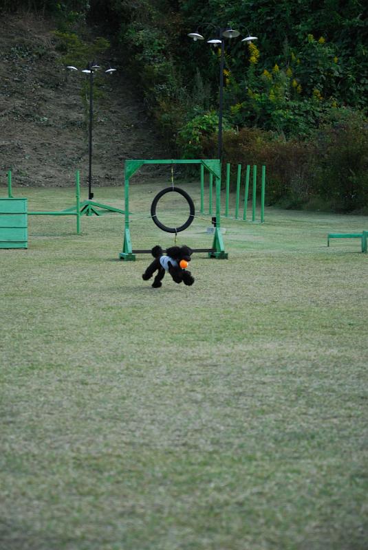 DSC_8330.jpg