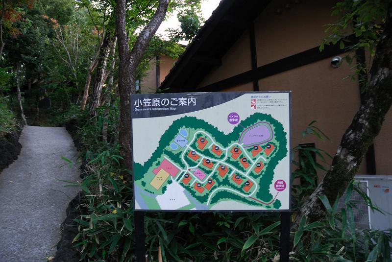 DSC_8336.jpg