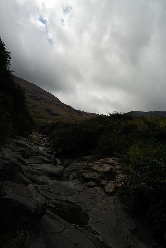 DSC_8393.jpg