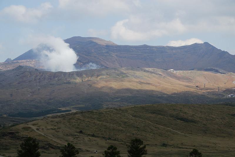 DSC_8416.jpg