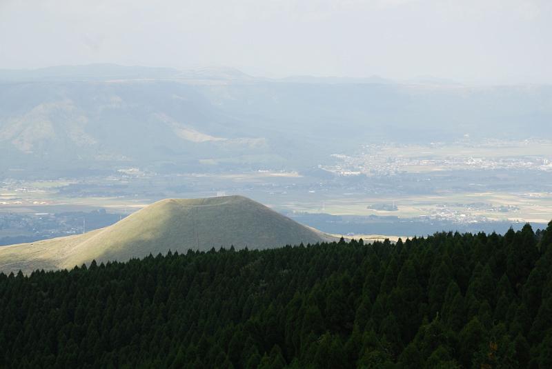 DSC_8421.jpg
