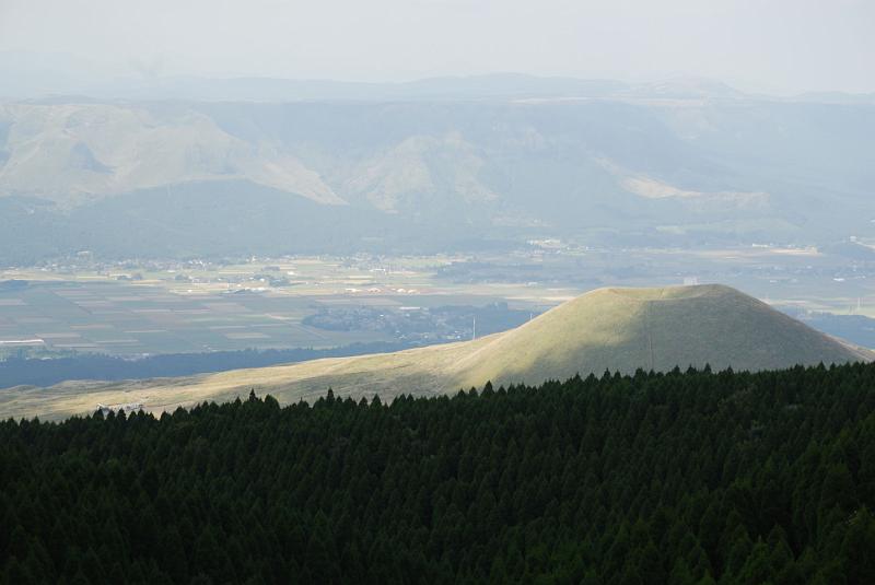 DSC_8422.jpg