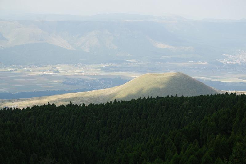 DSC_8423.jpg