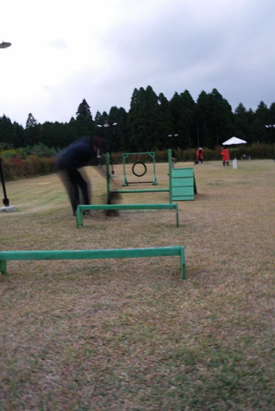 DSC_8449.jpg