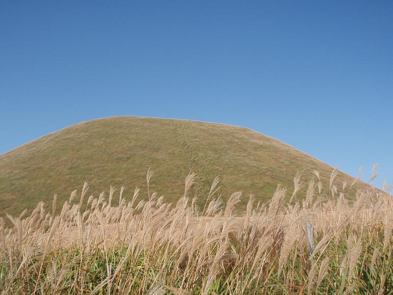 PA201046.JPG