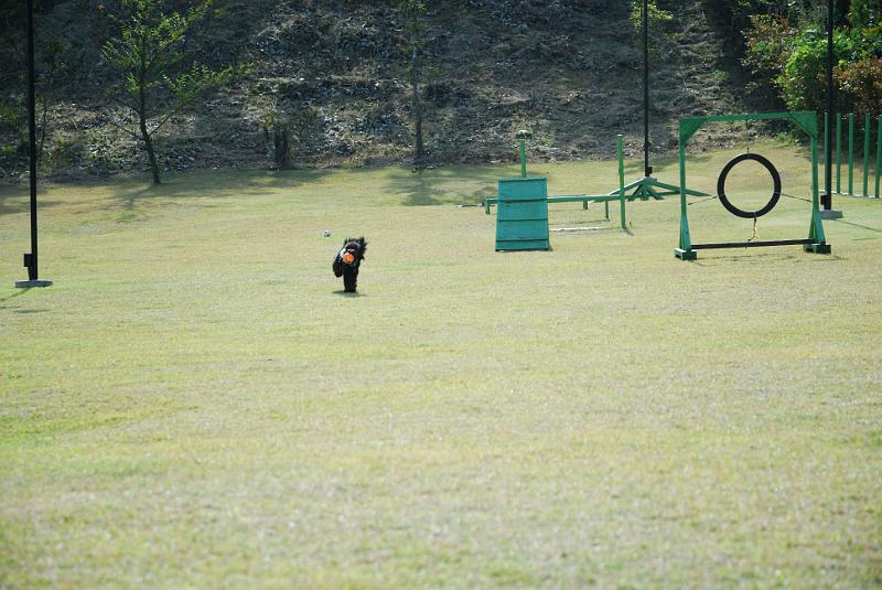 DSC_8493.jpg
