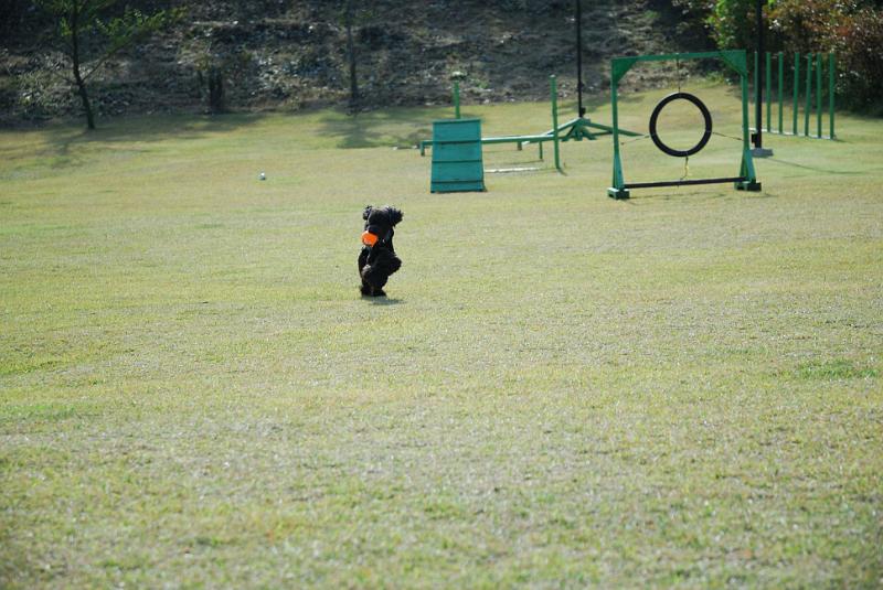 DSC_8494.jpg