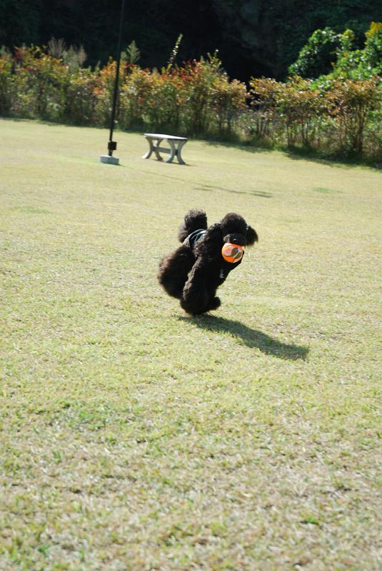 DSC_8509.jpg