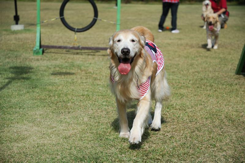 DSC_8521.jpg