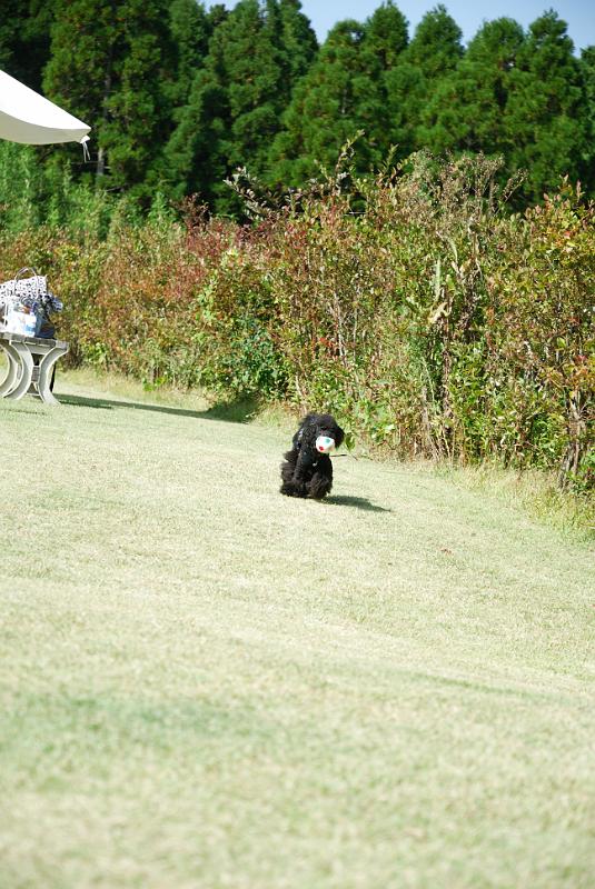 DSC_8528.jpg