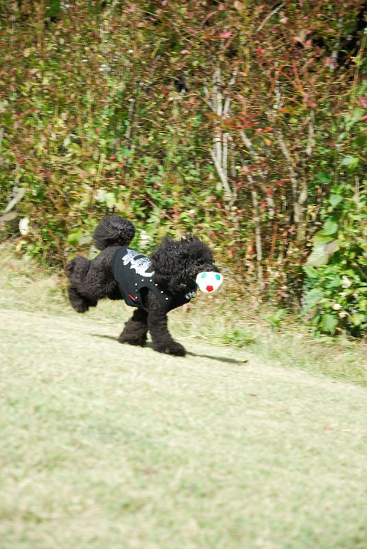DSC_8531.jpg