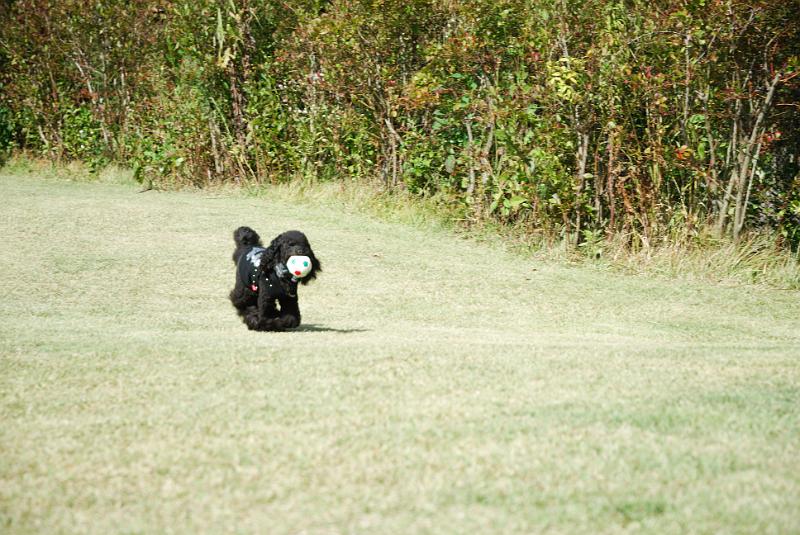 DSC_8536.jpg