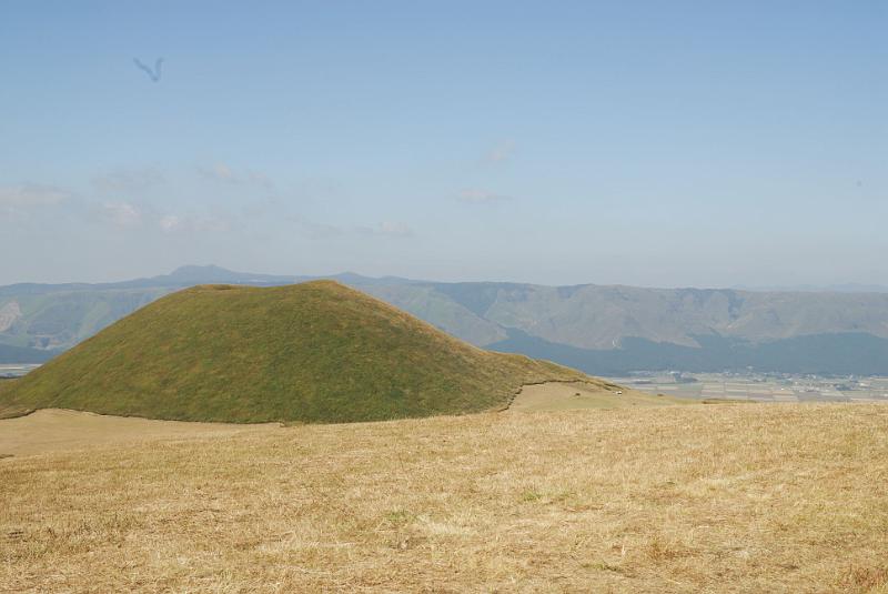 DSC_8562.jpg